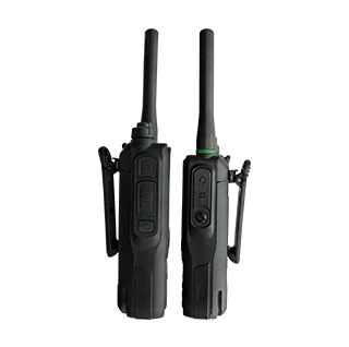 Hybrid network architecture network radio