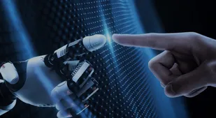 product packing and transportion