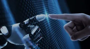 How to identify high-quality transparent globes