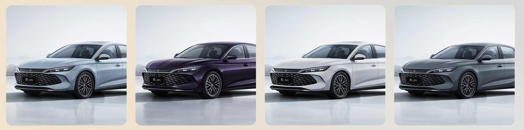 WX20240912-114454@2x.png WX20240912-114454@2x.png