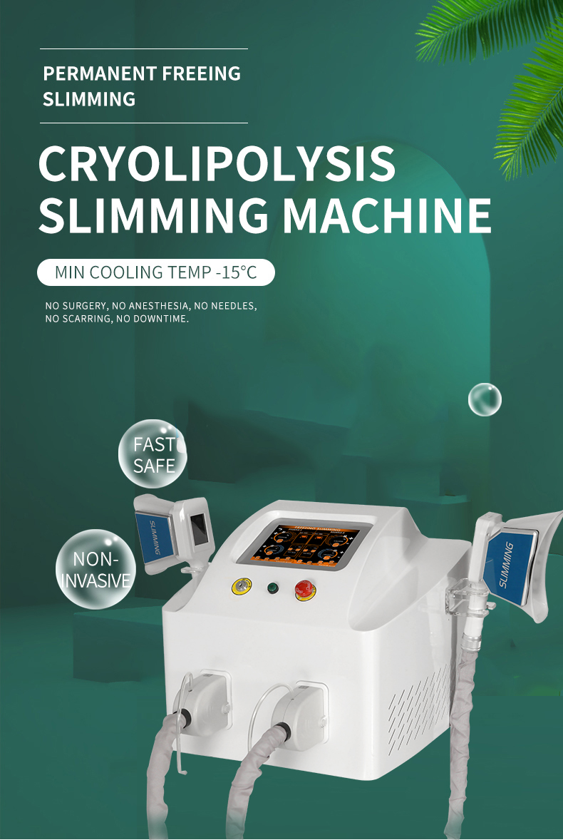 4 cryo handles Cryolipolysis slimming machine.jpg