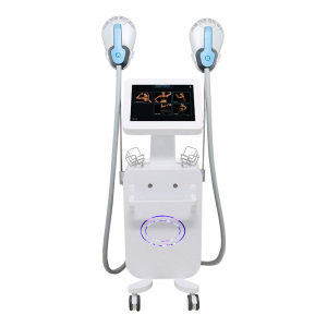 New Arrival Emsculpting Pro Body Shaping Slimming Beauty Machine 