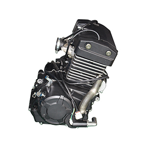 250 Motor