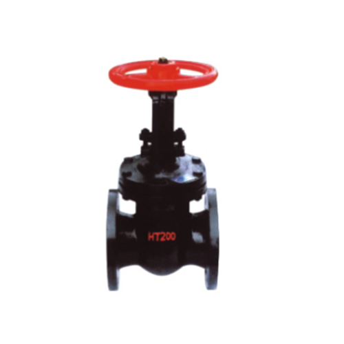 Parallel double disc gate valve Parallel double disc gate valve