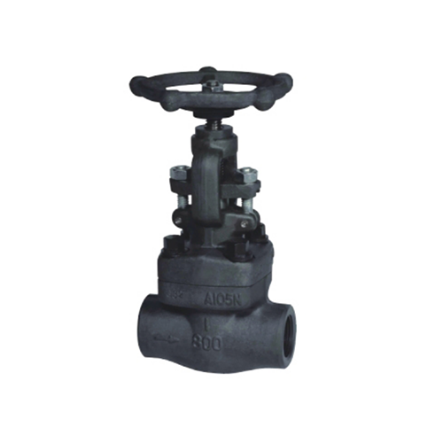 Forged steel globe valve Forged steel globe valve