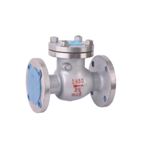 Swing check valve Swing check valve