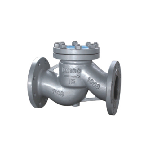 Lift check valve Lift check valve