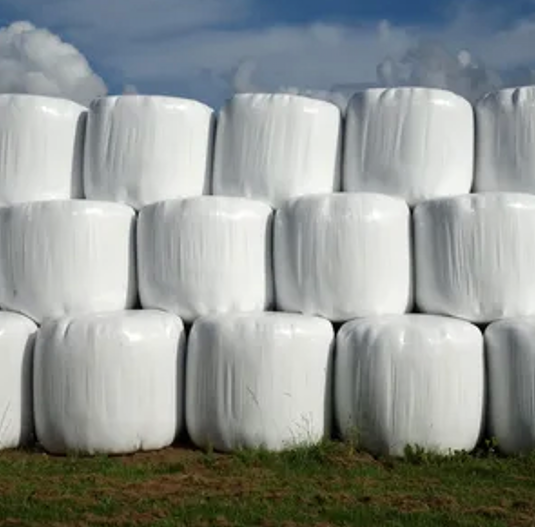 silage film