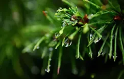 Универсальность. Не надо верить в сказки рекламы про белое для белого, желтое для желтого, есть капсула Feracitas для разных типов белья и цвета.