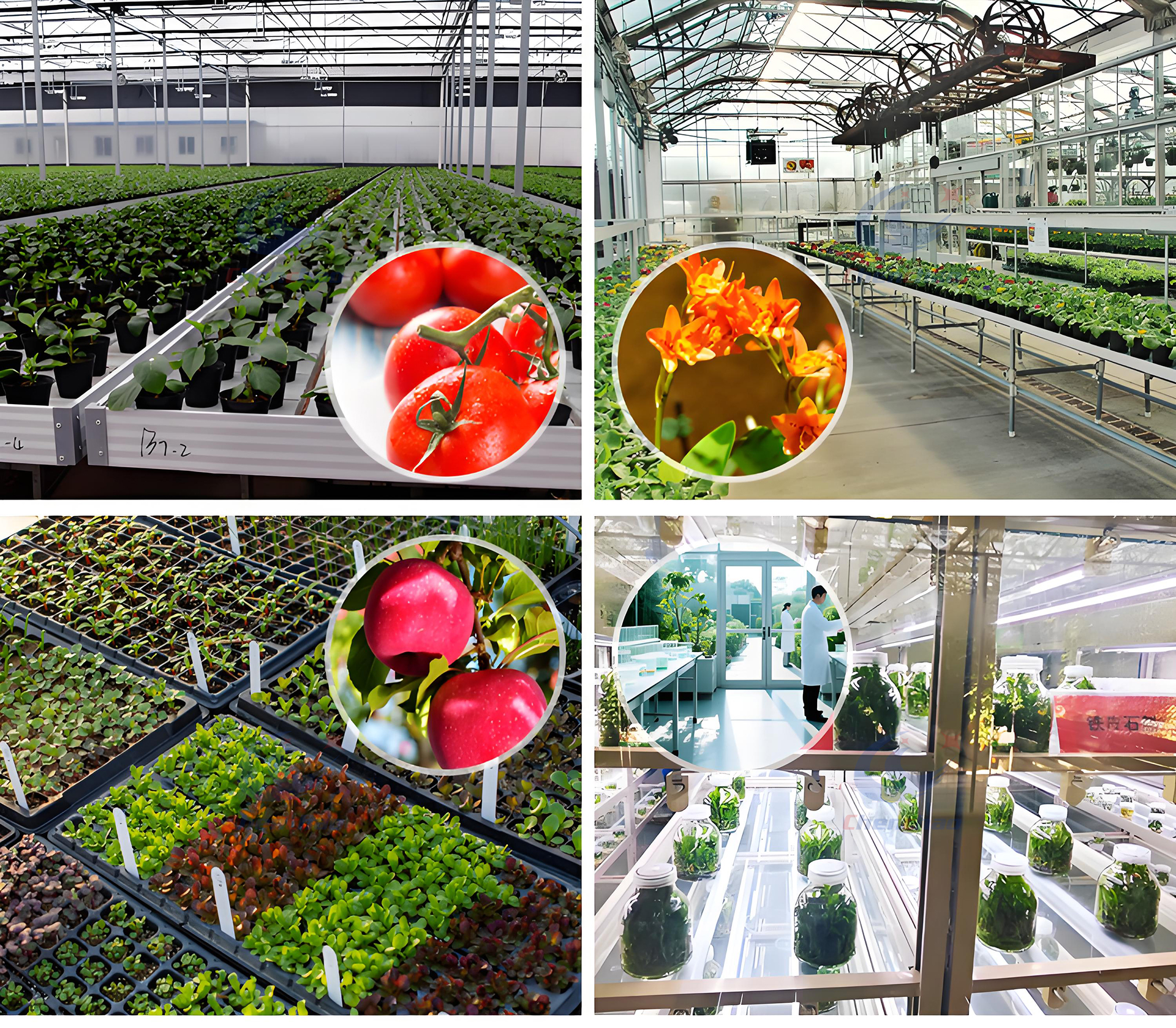 应用范围.jpg 应用范围.jpg