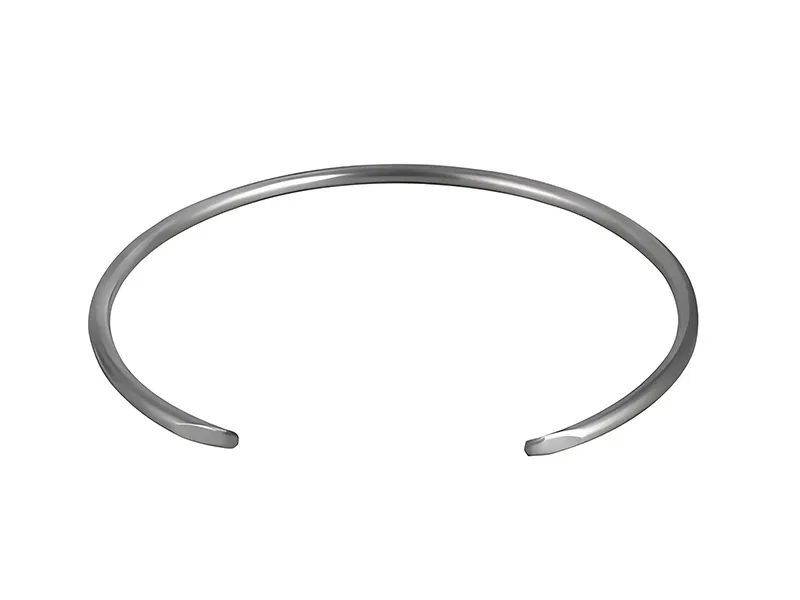 Screw pump wire retaining ring