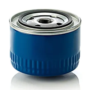 Oil Filter 10102484 