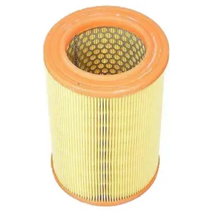 Air Filter 10720261 