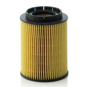 Oil Filter 10130244
