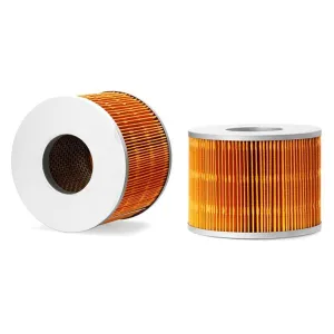 Air Filter 10700170  