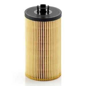 Oil Filter 10130335  