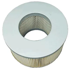Air Filter 10700208  