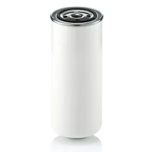 Fuel Filter 10200284 