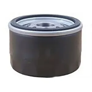 Oil Filter 10101949
