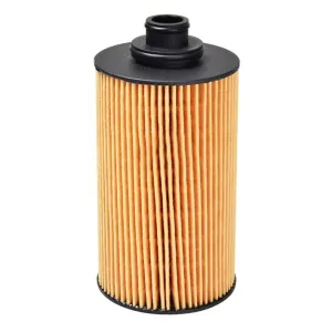 Oil Filter 10130363  