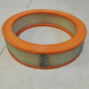 Air Filter 10720254  