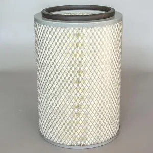 Air Filter 10700128  