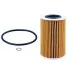 Oil Filter 10130221