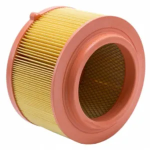 Air Filter 10720165  