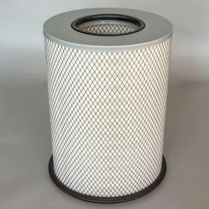 Air Filter 10700099  