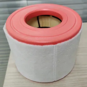 Air Filter 10720260  