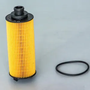Oil Filter 10130087  