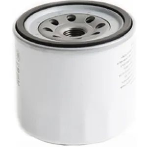 Oil Filter 10101645  