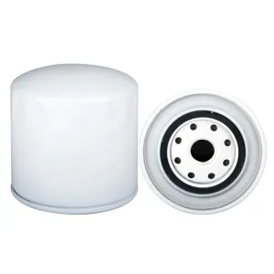 Oil Filter 10101171  