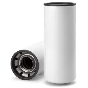 Oil Filter 10100061 