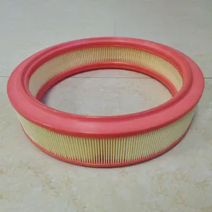 Air Filter 10720257 
