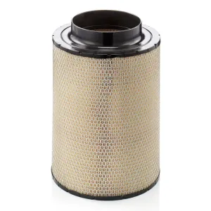Air Filter 10720266  