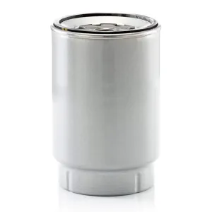 Fuel Filter 10300071  