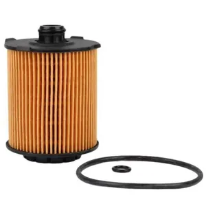 Oil Filter 10130352  