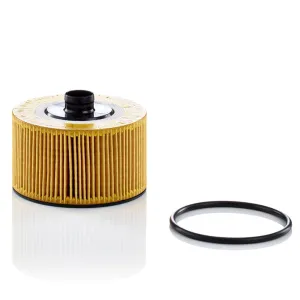 Oil Filter 10130150