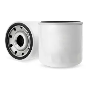 Oil Filter 10102613  