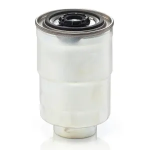 Fuel Filter 10300055  