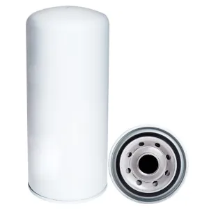 Oil Filter 10103180  
