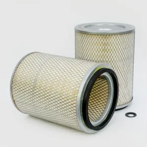 Air Filter 10700127  