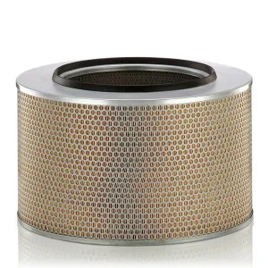 Air Filter 10700091 