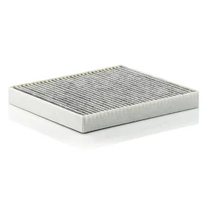 Cabin Filter   10770426  
