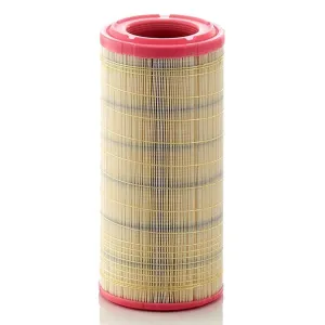Air Filter 10720256  