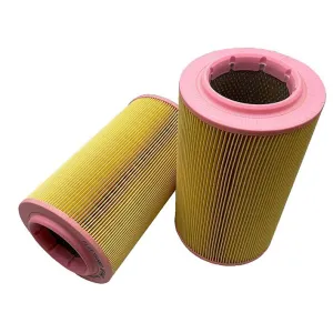 Air Filter 10720263  