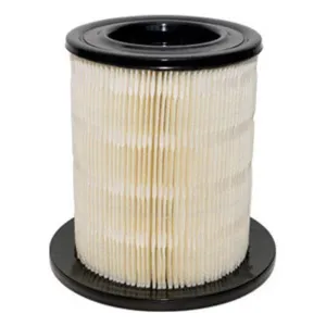 Air Filter 10720253  