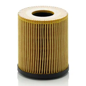 Oil Filter 10130411
