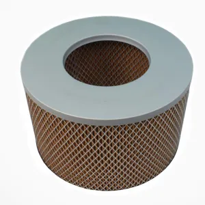 Air Filter 10700113  